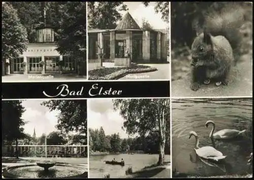 Lot 7 Ansichtskarten Bad Elster Park Kuranlagen 1978