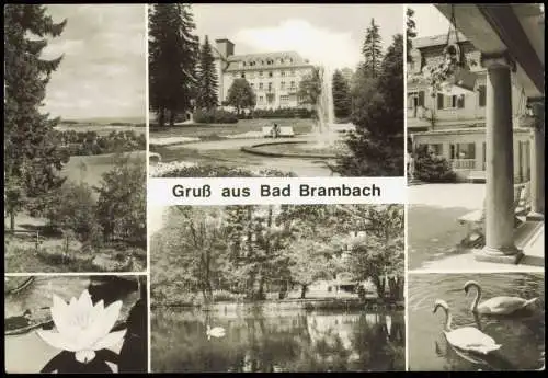 Ansichtskarte Bad Brambach DDR Mehrbild-AK mit Sanatorium J.-Curie-Haus 1980