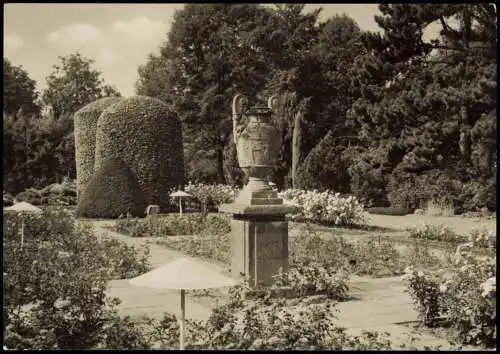 Ansichtskarte Forst (Lausitz) Baršć Rosengarten - Plastik 1978