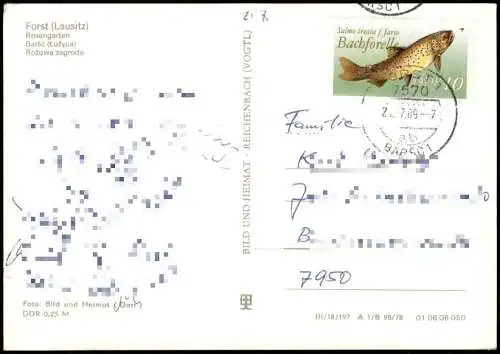 Ansichtskarte Forst (Lausitz) Baršć Rosengarten - Plastik 1978