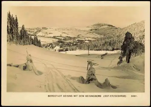 Geising-Altenberg  Erzgebirge Panorama  Geisingberg, Erzgebirge  DDR-Zeit 1966