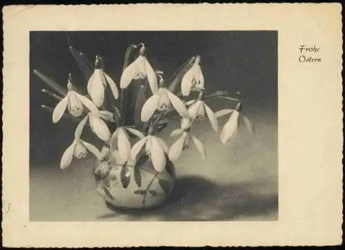 Lot 8   Glückwunsch Ostern Eier Frühlingsblumen Lämmchen Kücken Glocken 1950