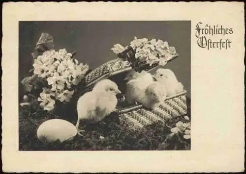 Lot 8   Glückwunsch Ostern Eier Frühlingsblumen Lämmchen Kücken Glocken 1950