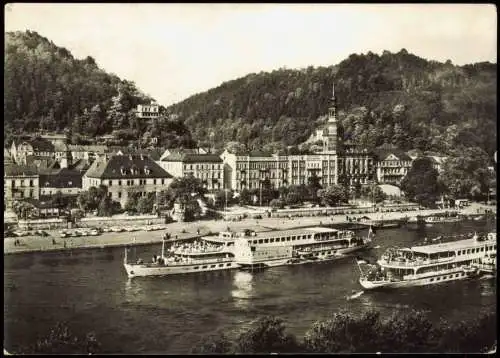 Ansichtskarte Bad Schandau Elbdampfer 1967