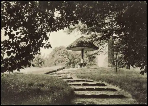 Ansichtskarte Branitz-Cottbus Pilz im Branitzer Park zur DDR-Zeit 1968