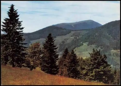 Ansichtskarte Aitern Umland-Ansicht am Hotel Belchenhaus 1980