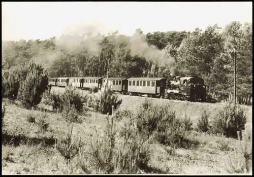 Schmalspurbahn Putbus-Göhren, Personenzug zw. Garstitz und Sellin 1985