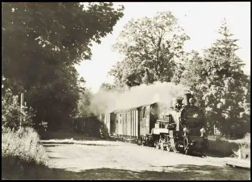 Schmalspurbahn Putbus-Göhren Frühzug von Göhren bei Einfahrt Philippshagen 1982