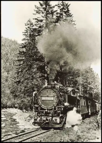 Schmalspurbahn Weißeritztalbahn Dampflok 99 1734-5 Einfahrt Kipsdorf 1982/1983