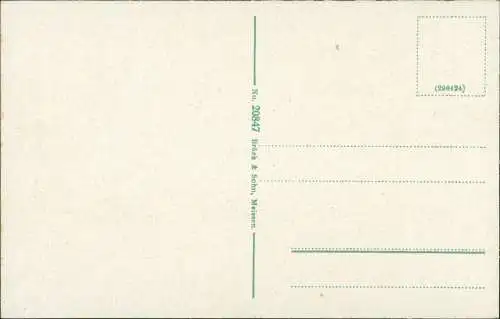 Ansichtskarte Elsterwerda Wikow Brücke - Partie an der Elster 1913