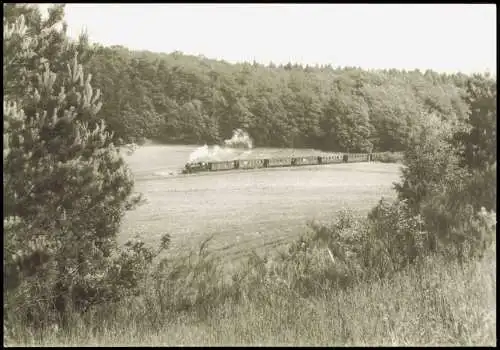 Eisenbahn Zug Lokomotive der Schmalspurbahn Putbus-Göhren bei Seelvitz 1985