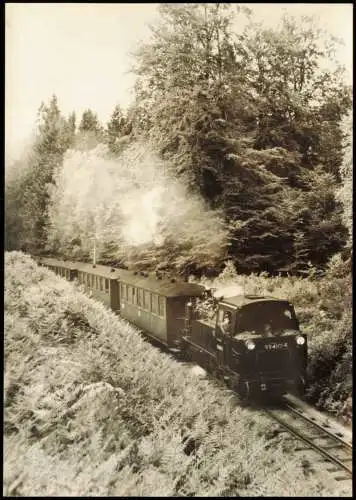 Eisenbahn Zug Lokomotive Schmalspurbahn Putbus-Göhren bei Granitz 1977