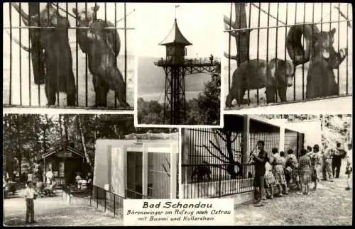 Ansichtskarte Bad Schandau 5 Bild Fotokarte Bärenzwinger am Aufzug 1971