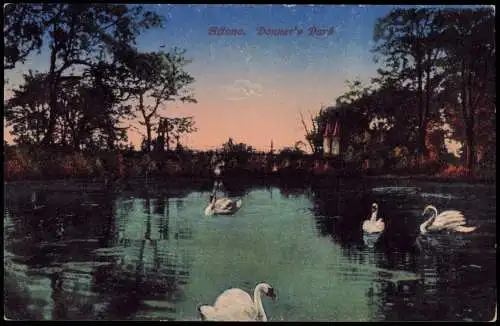 Ansichtskarte Altona-Hamburg Donners-Park Schwäne  1917