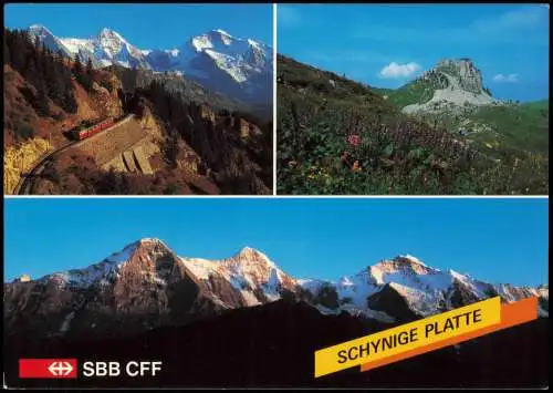 Ansichtskarte Gsteigwiler Mehrbildkarte Schynige Platte 1980