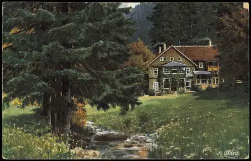 Tabarz/Thüringer Wald Künstlerkarte Massemühle im Lauchagrund 1913