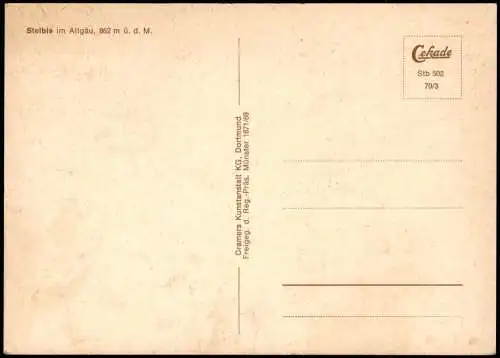 Steibis-Oberstaufen Luftbild Luftaufnahme Ortsansicht v. Flugzeug aus 1970