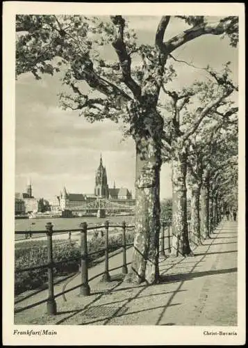Ansichtskarte Frankfurt am Main Stadt-Ansicht, Partie am Main 1955