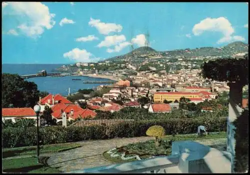 Postcard Funchal Western View 1969