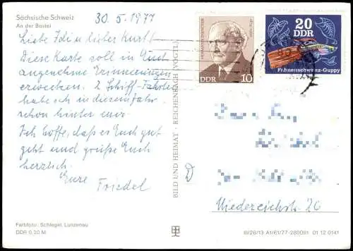 Ansichtskarte Rathen Fahrgastschiff Elbdampfer vor der Bastei 1977