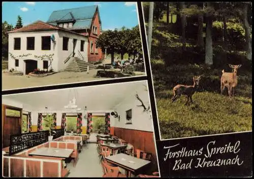 Ansichtskarte Bad Kreuznach Gasthaus Forsthaus Spreitel (Mehrbildkarte) 1970