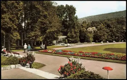 Ansichtskarte Bad Gandersheim Harz Kurpark Colorfotokarte 1963