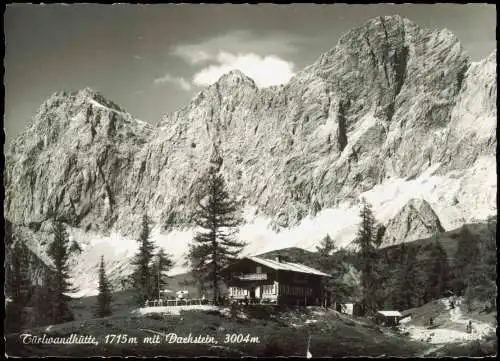 Ansichtskarte Dachstein Türlwandhütte mit Dachstein 1968  Steiermark
