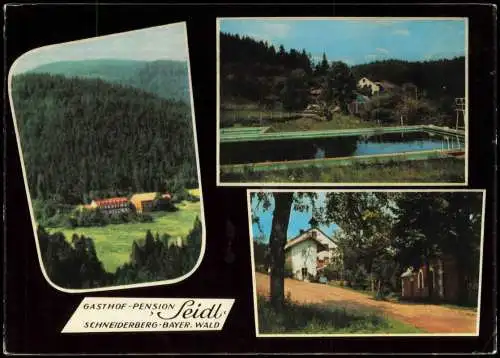 Ansichtskarte Schneiderberg Bayerischer Wald 3 Bild GASTHOF-PENSION 1971