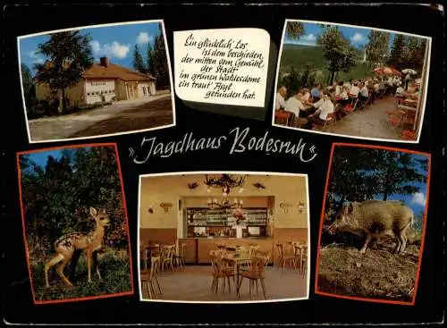 Ansichtskarte Abterode-Meißner Mehrbild Jagdhaus Bodesruh 1978