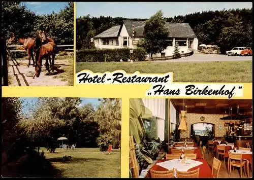 Ansichtskarte Simmern (Hunsrück) Mehrbild Restaurant HAUS BIRKENHOF 1976