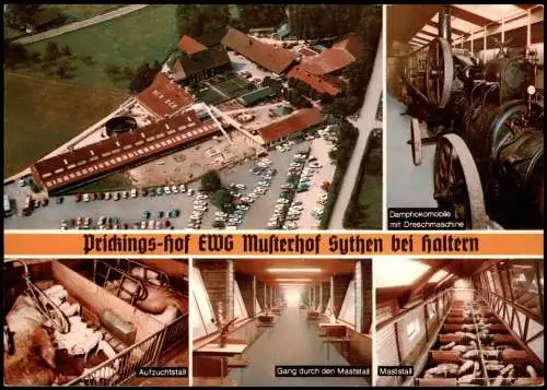 Ansichtskarte Sythen-Haltern am See Prickings-Hof EWG Musterhof Mehrbild 1973