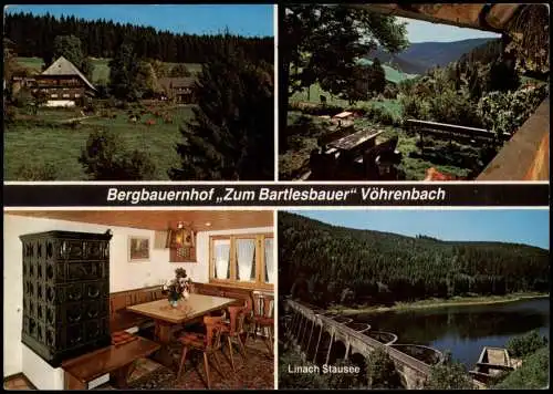 Ansichtskarte Vöhrenbach Bergbauernhof Zum Bartlesbauer 4 Bild 1993