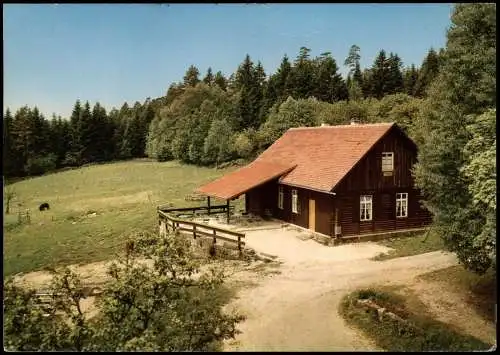 Ansichtskarte Bad Wildbad Waldraststätte Grünhütte Schwarzwald 1978