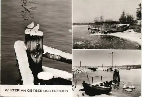 Ansichtskarte .Mecklenburg-Vorpommern Winter an Ostsee und Bodden 1981/1982