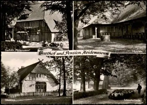 Ansichtskarte Wilsede-Bispingen Gasthaus zum Heidemuseum 4 Bild 1965