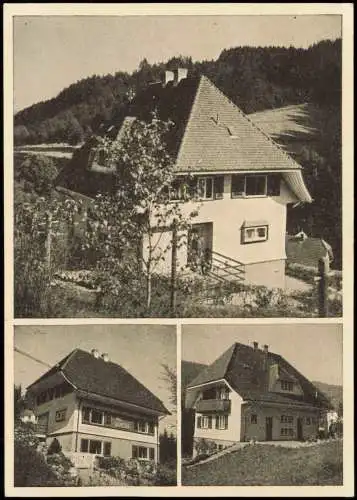 Ansichtskarte Titisee-Neustadt Haus Blümlishof 1950