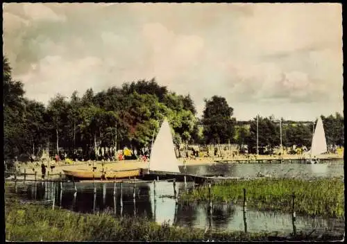 Ansichtskarte Bosau Gr. Plöner See Strand Segelboot Colorfotokarte 1962