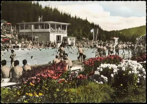 Ansichtskarte Heidenheim an der Brenz Waldbad - Colorfotokarte 1964