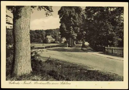 Ansichtskarte Göhrde Forst. Lindenallee zum Schloss 1953