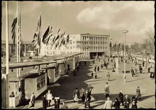 Ansichtskarte Frankfurt am Main Messegelände Gelände 1956