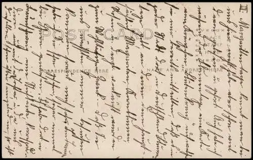 Blumenau Brasilien Ankunft Dampfer Steamer Deutsche Kolonie Brasil  1911