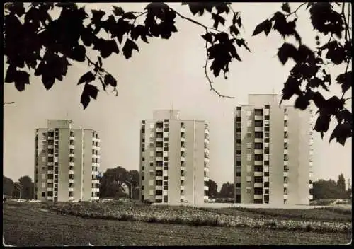 Ansichtskarte Frankenthal (Pfalz) Hochhäuser in der Carl-Bosch-Siedlung 1964