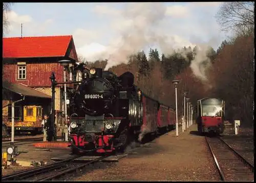 Ansichtskarte Alexisbad-Harzgerode Selketalbahn Dampflokomotive Bahnhof 2008