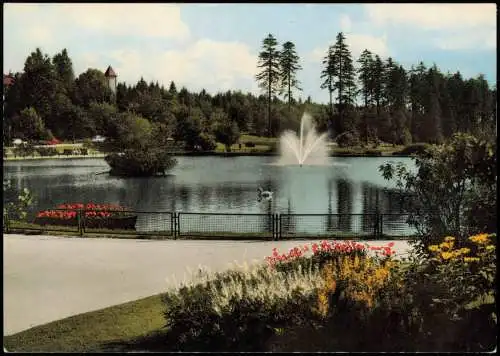 Ansichtskarte Hahnenklee-Bockswiese-Goslar Am Kurteich 1968