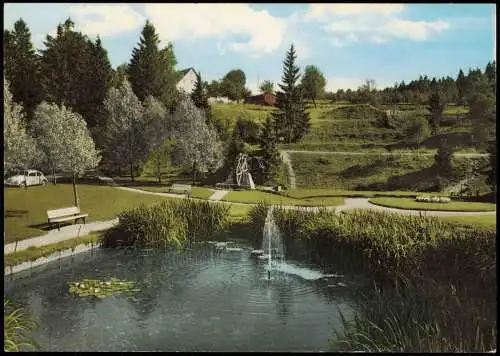 Ansichtskarte Hahnenklee-Bockswiese-Goslar Kuranlagen in Bockswiese 1971
