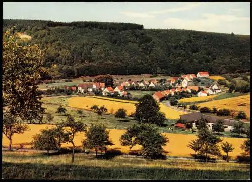 Ansichtskarte Bad Karlshafen Am Birkenbusch 1978