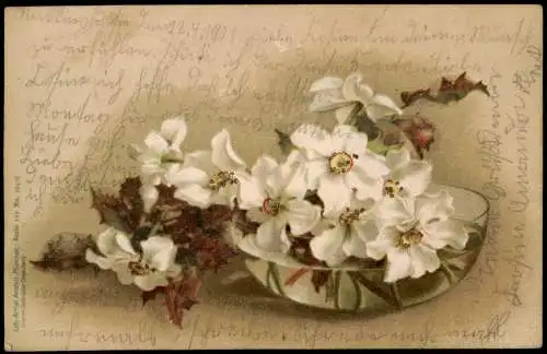 Ansichtskarte  Botanik :: Blumen Bouquett Künstlerkarte 1901