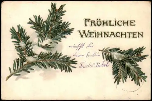 Ansichtskarte  Weihnachten Christmas Tannenzweige mit Schnee 1902 Prägekarte
