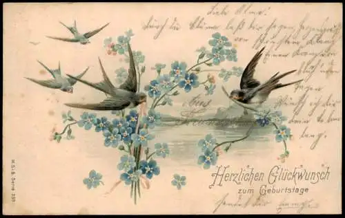 Ansichtskarte  Geburtstag Birthday Schwalben und Veilchen 1904 Prägekarte