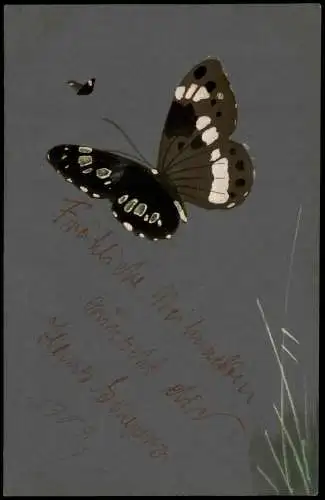 Ansichtskarte  Künstlerkarte Schmetterlinge 1904  gel. Stempel Hilgen